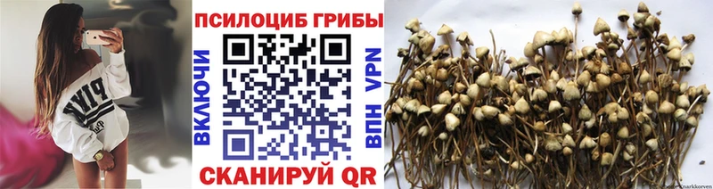 гидра ONION  где можно купить наркотик  Оханск  Псилоцибиновые грибы GOLDEN TEACHER 